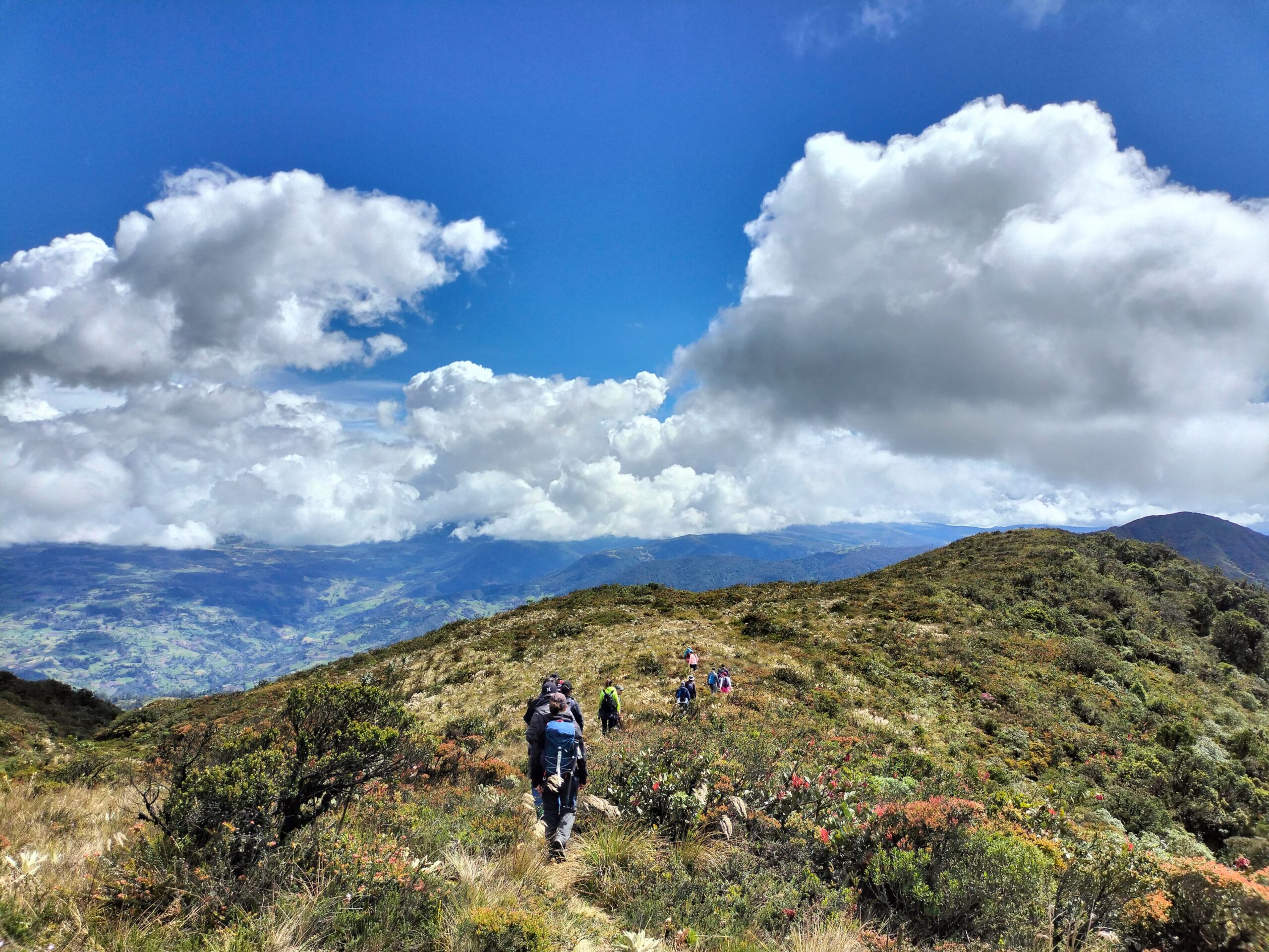 Paramo soleado sendero