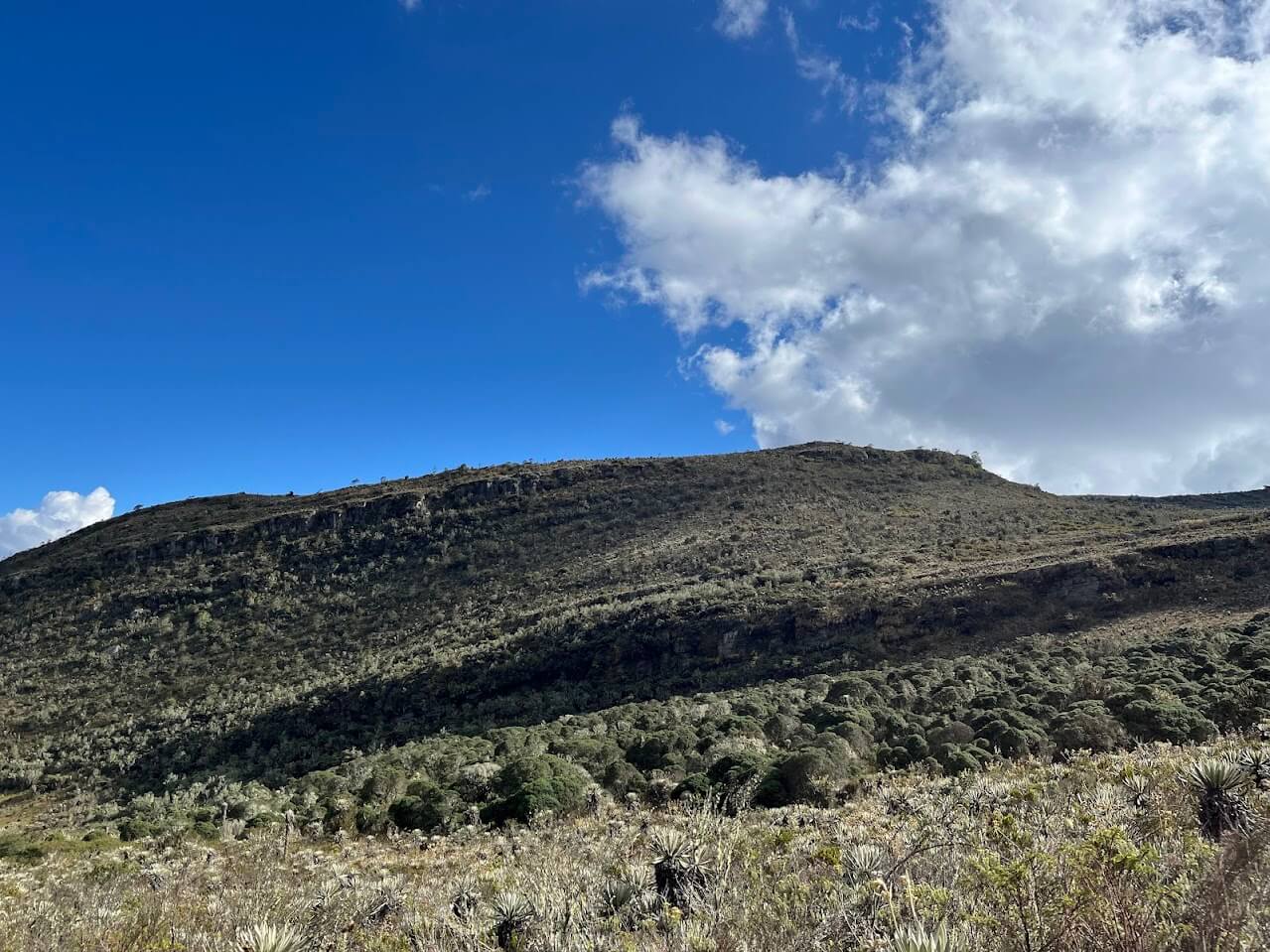 gran sunapa sumapaz