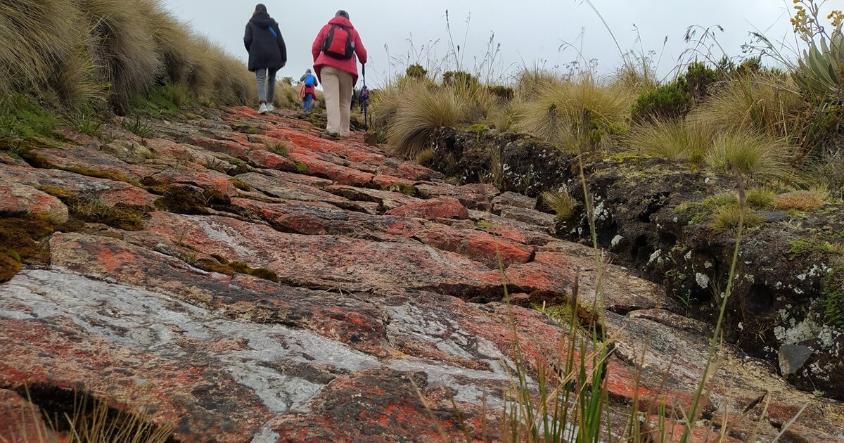 caminata-gigante-sumapaz