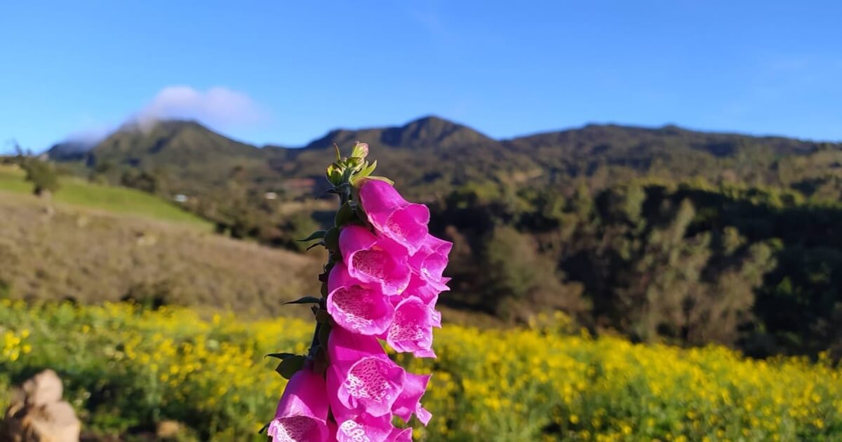 caminata-sendero-chuscales
