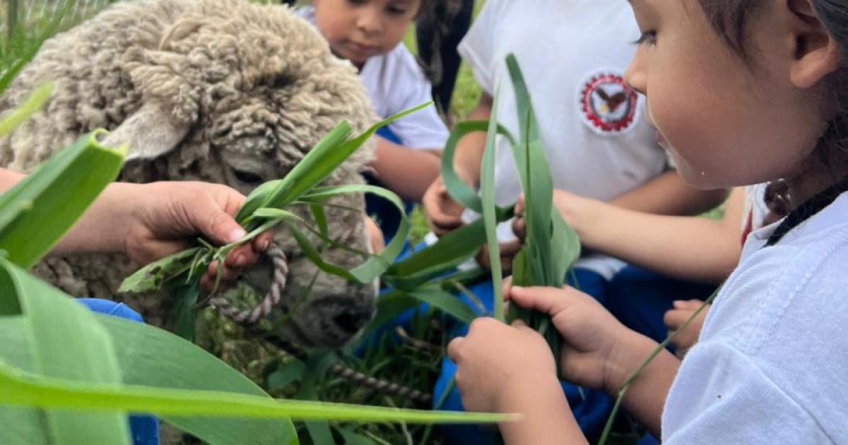 agroturismo-aprendemos-en-campo