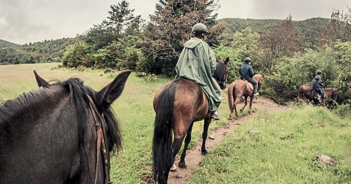 deporte-cabalgatas